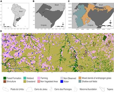 Aerial insectivorous bats in the Brazilian-Uruguayan savanna: Modelling the occupancy through acoustic detection